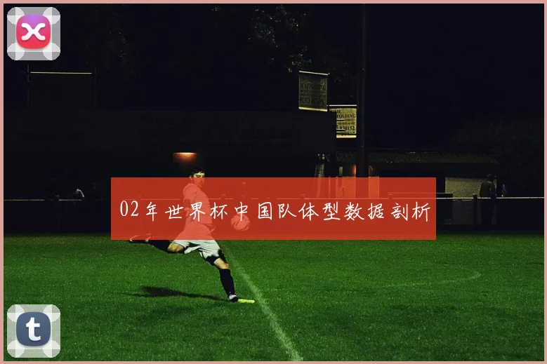 02年世界杯中国队体型数据剖析