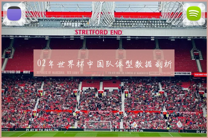 02年世界杯中国队体型数据剖析