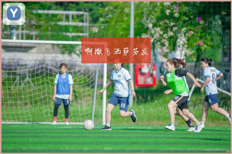 06年世界杯转播主题公布 聚焦赛事传播与观赛体验_1